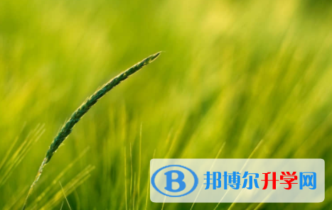 眉山2022年中考怎样考出好成绩