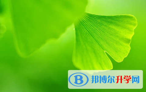 眉山2022年中考报考人数