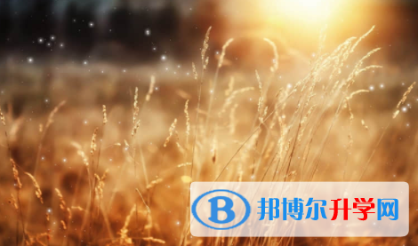 眉山2022年中考建档线