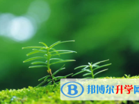 眉山2022年中考生落榜后可不可以选择复读