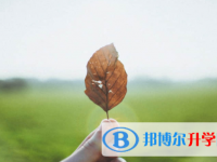眉山2022年中考网报