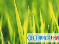 眉山2022年中考网络登录