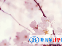 眉山2022年中考网络服务应用平台
