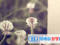 眉山2022年中考网络平台
