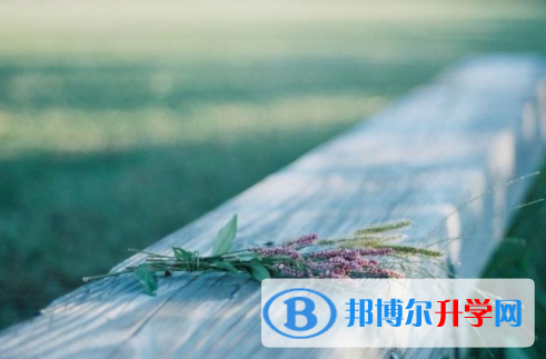 眉山2022年中考招生考试查询系统