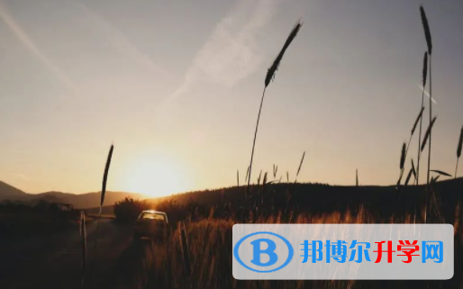 眉山2022年中考志愿官网