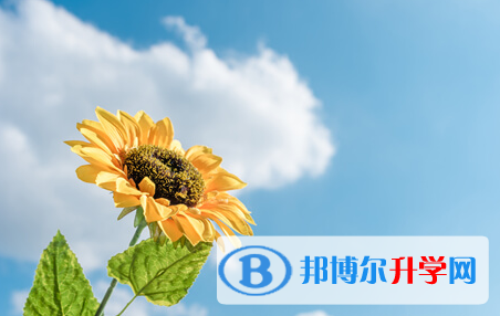 眉山2022年中考紧张