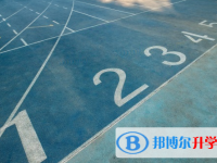 眉山2022年中考状元