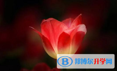眉山2022年中考怎么饮食