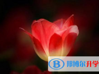 眉山2022年中考怎么饮食