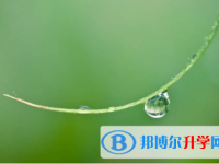 眉山2022年如果中考没考上读什么好