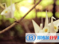 宜宾2022年中考成绩查询入口