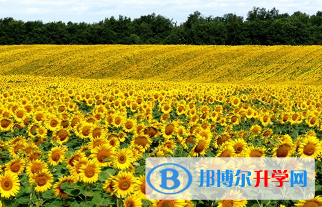 宜宾2022年中考成绩差怎么办