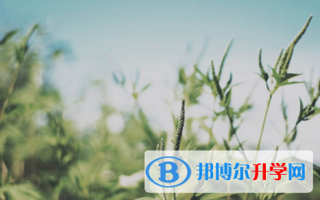 宜宾2022年中考技巧和注意事项
