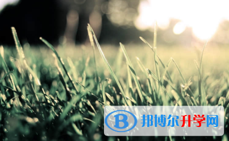 宜宾2022年中考录取通知书