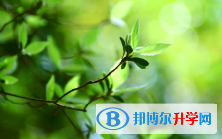 宜宾2022年中考落榜生