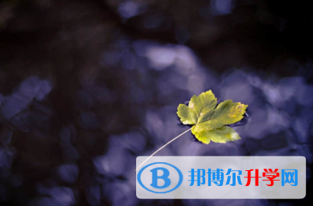 宜宾2022年中考秘籍