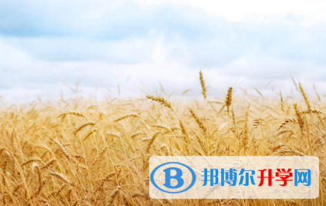 宜宾2022年中考重点复习