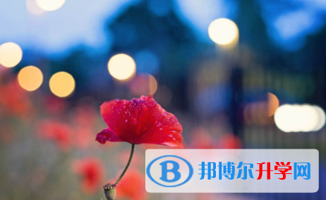 宜宾2022年中考落榜的出路