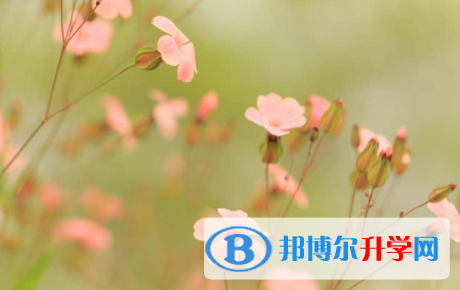 宜宾2022年中考是多少科