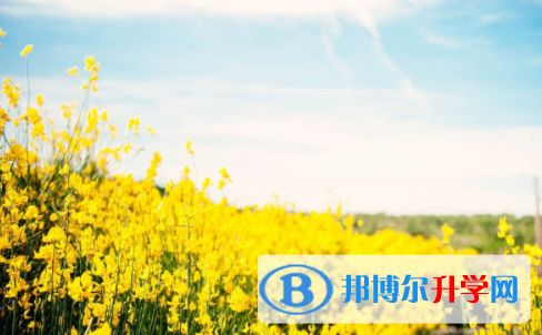 宜宾2022年中考是什么