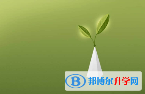 广安2022年怎样从网上查询中考成绩