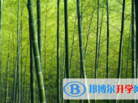 广安2022年怎样对待中考成绩