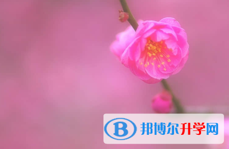 广安2022年中考查询总成绩