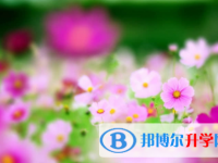 广安2022年中考成绩公布时间