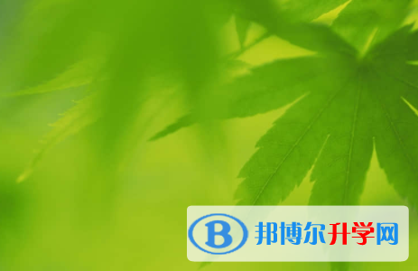 广安2022年中考成绩有没D