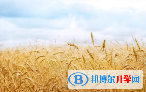 广安2022年中考报考人数