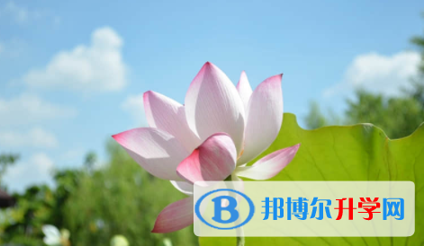 广安2022年中考报考指南