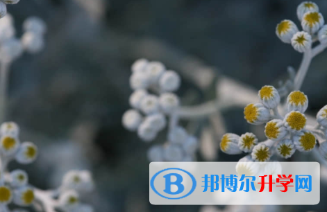 广安2022年中考查询电话