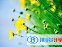 广安2022年中考录取