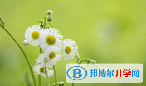 广安2022年中考没考上可以复读吗