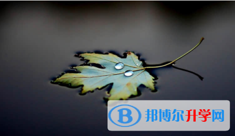 广安2022年中考难度