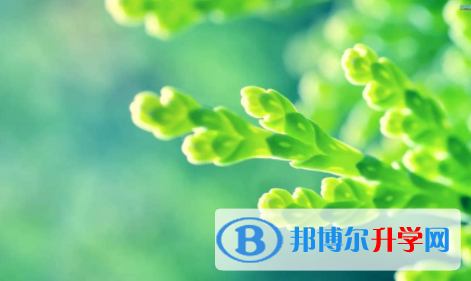 广安2022年中考人数