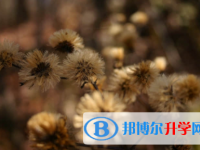 广安2022年中考生活注意事项