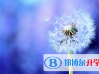 广安2022年中考自主招生情况