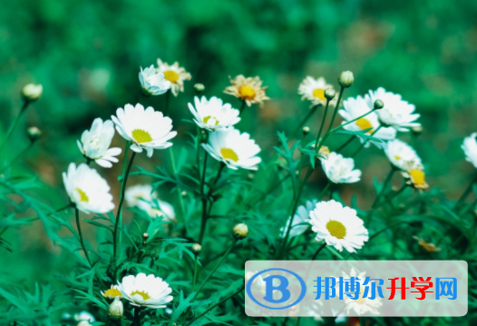 达州2022年怎样对待中考成绩