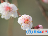 永川萱花中学2025年排名