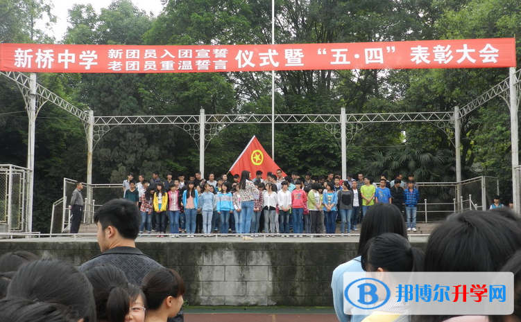 乐山新桥中学2022年招生代码