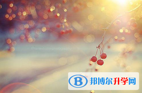 达州2022年中考报名是哪个网站
