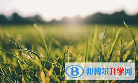 巴中2022年查询中考成绩用名字可以吗