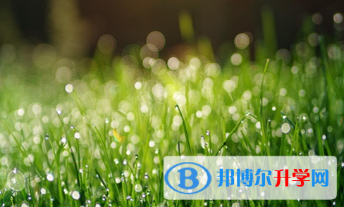 巴中2022年今年的中考成绩