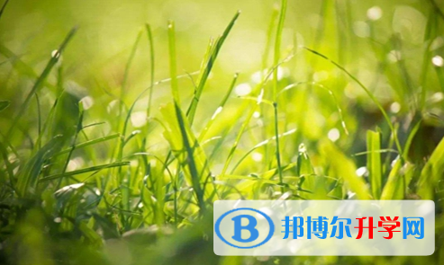 巴中2022年怎样对待中考成绩