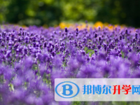 巴中2022年中考规则