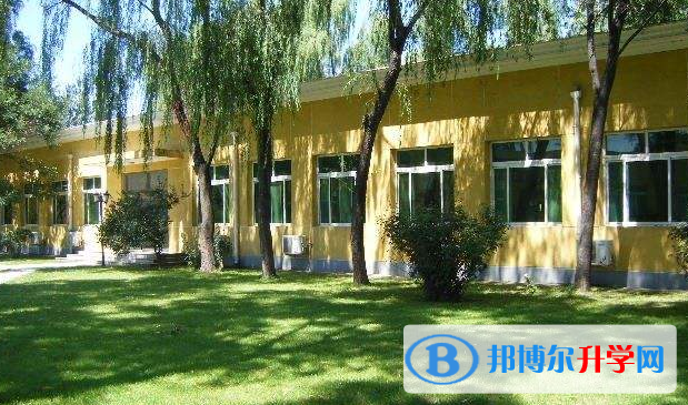  清华志清国际怎么样