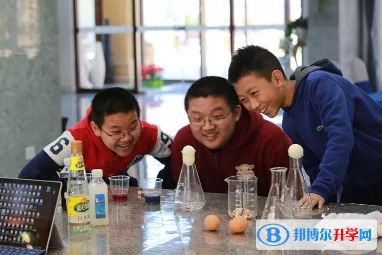  北京卓尔大方学校2023年入学条件