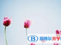 巴中2022年外地生参加中考